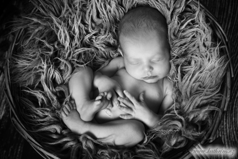 newborn